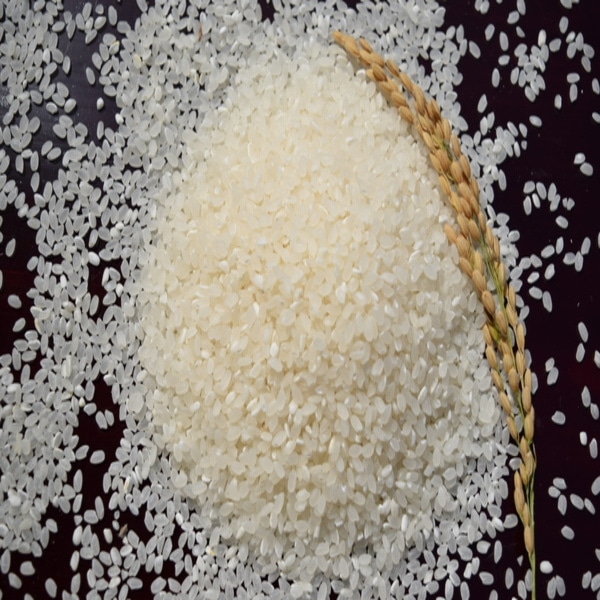 新潟県産 新之助 5kg
