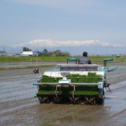 福島県産 精米会津産 コシヒカリ 2kg×5袋 10kg 令和3年産