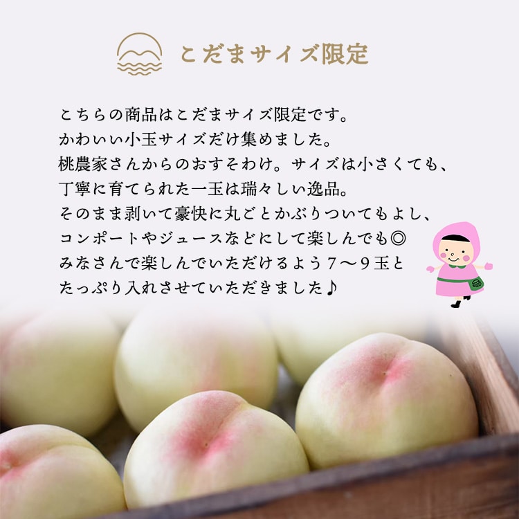 なつごころ限定 岡山白桃 ご家庭用 7-9玉入り 約1.5kg 【2022年6月13日~2022年8月10日】