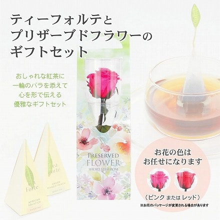 お花と紅茶のギフトセット ティーフォルテ TEA FORTE フルール シングル 10個入り 紅茶 プリザーブドフラワー ティーバッグ ギフト 詰め合わせ