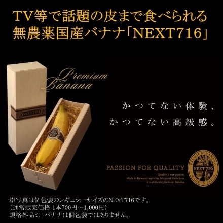超希少。皮ごと食べられる国産無農薬バナナ NEXT716 ミニサイズ1kg