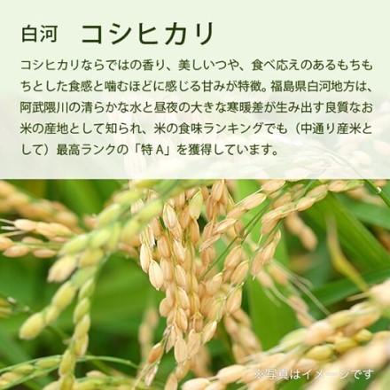 スマート米 福島県白河産 コシヒカリ 精米1.8kg×2袋 残留農薬不検出 令和二年度産