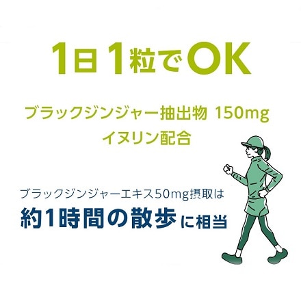 ショウガのおかげ 30粒入り