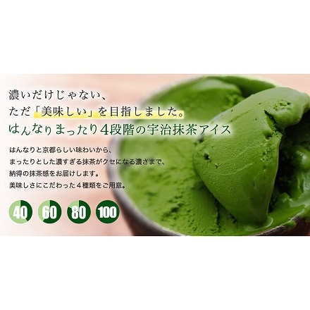 はんなりまったり4段階の宇治抹茶・黒ほうじアイスセット8個入り 6978-672 【販売期間2022年4月14日~2022年12月15日】