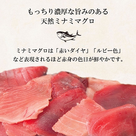 天然 ミナミマグロ 期間限定大特価 焼津 鮪 赤身中トロ切り落とし + ネギトロ 計350g
