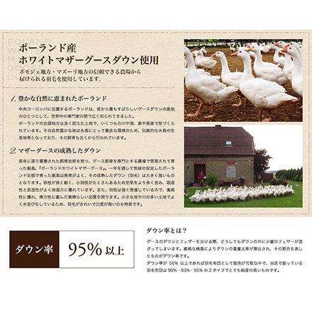 羽毛布団 ダブル ポーランド産 ホワイト マザーグース 95% プレミアムブラックラベル 日本製
