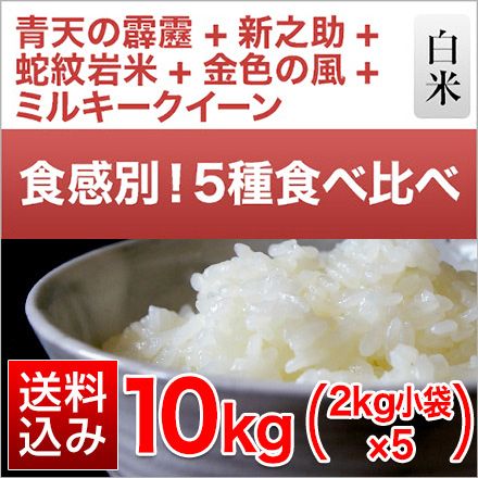 白米 ごはんソムリエ厳選 5種 食べ比べ Eセット 10kg 令和5年産