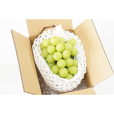 期間限定 山梨 シャインマスカット 550g【販売期間2022年6月15日~2022年9月14日】