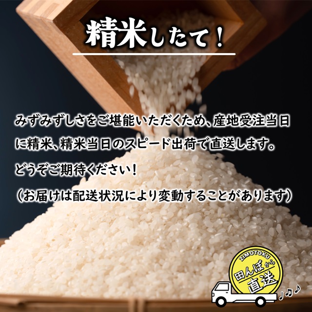 （白米）千葉県産 コシヒカリ 6kg 「増量オトク6kg！」令和5年