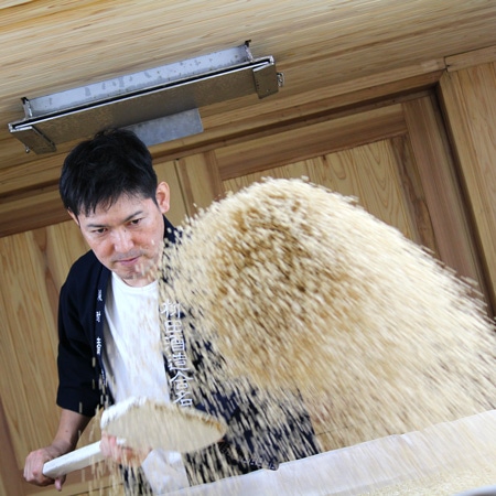 青鹿毛 人気の麦焼酎2本セット 720ml