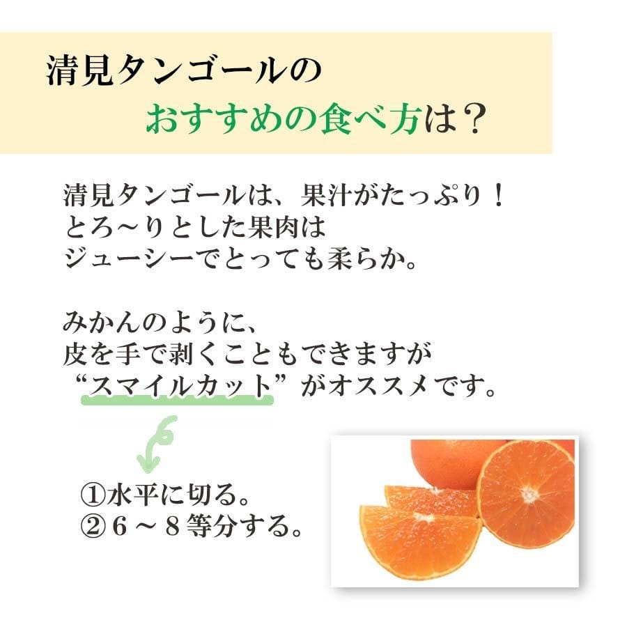 清見タンゴール オレンジ 訳あり 2kg
