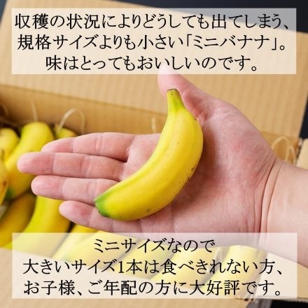 NEXT716 訳あり 国産 無農薬 バナナ 超希少 皮ごと食べられる ミニサイズ 1kg