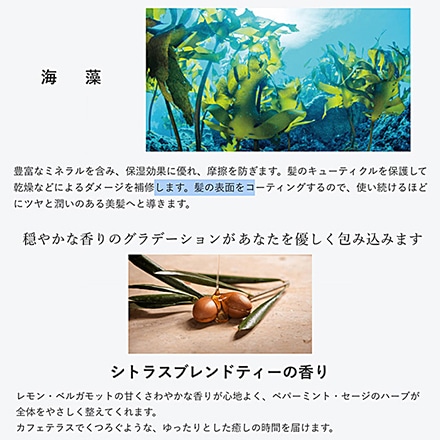 サロンオブエデン ヘアマスクM 150g 18個