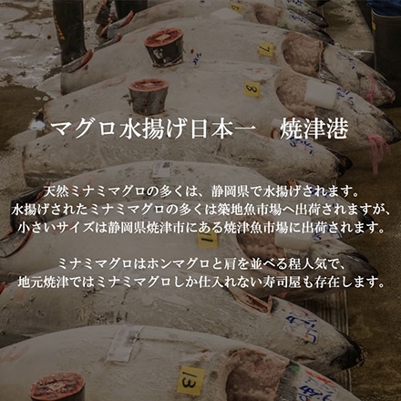 天然 ミナミマグロ 期間限定大特価 焼津 鮪 赤身中トロ切り落とし + ネギトロ 計400g