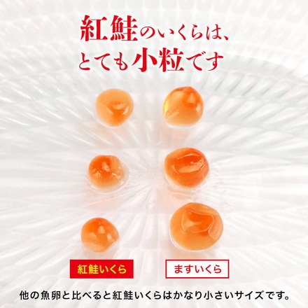 いくら 紅鮭 いくら醤油漬け 500g (250g×2)