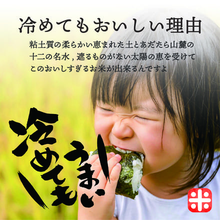天のつぶ 特別栽培米 精米 10kg 令和3年産