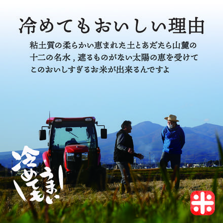 今井さんのお米 こしひかり 精米 10kg 令和3年産
