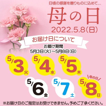 【5月3日~5月8日にお届け】 《2022 母の日》 カスミソウカラフル虹色ブーケ 226723047