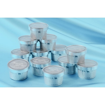 北海道十勝ドルチェ橋本牧場 プレミアムアイス 100ml×12個 6973-468 【販売期間2022年4月14日~2022年12月15日】