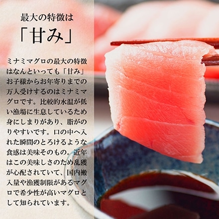 天然 ミナミマグロ 期間限定大特価 焼津 鮪 ネギトロ 計500g