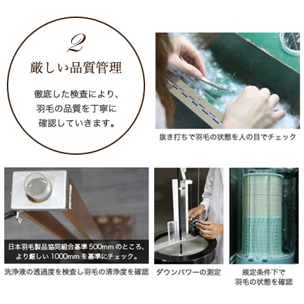 羽毛布団 セミダブル フランス産 ホワイトダッグ 90% エクセルゴールドラベル 日本製