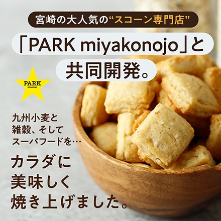 タマチャンショップ ちいさなスコーン屋さんの小さなスコーン プチスコ プレーン&有機ごま 各70g