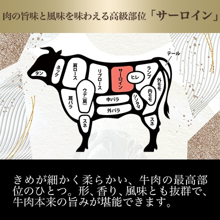 仙台牛 A5ランク サーロインステーキ用 320g 1~2人前