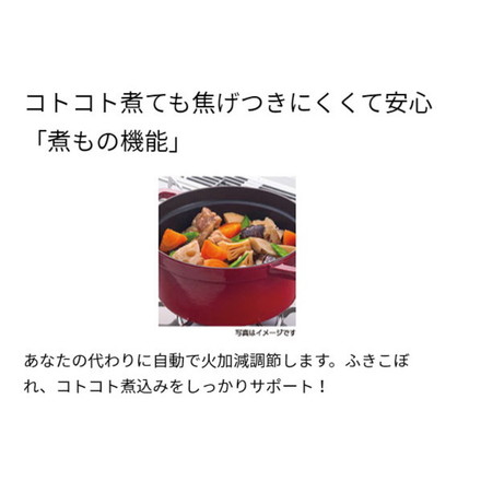 パロマ リプラ ビルトインコンロ PD-509WS-60CV LPG プロパンガス専用
