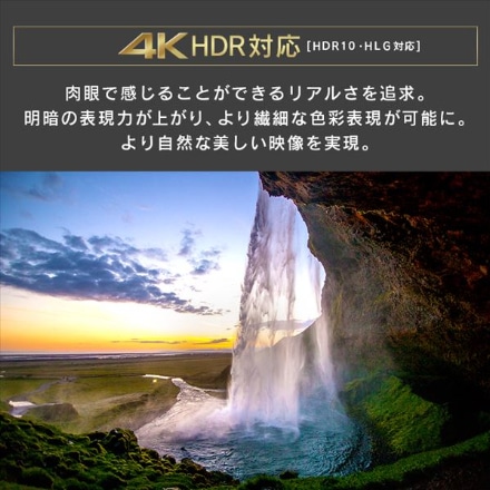 アイリスオーヤマ AI機能音声操作対応4Kチューナー内蔵液晶テレビ 50V型 50XUC38VC ブラック
