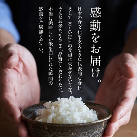 タマチャンショップ 都城ふるさと米 無洗米 まいひかり 10kg (5kg×2袋) 令和5年産