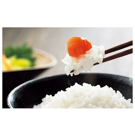 象印 圧力IH炊飯ジャー NP-ZW10-TD 5.5合炊き