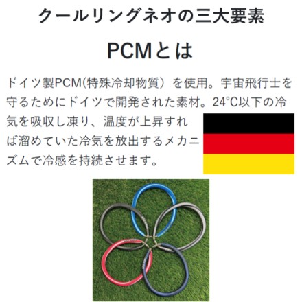 クールリング ネオ グレー&ブラック レギュラーサイズ