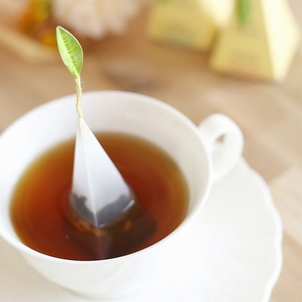 ティーフォルテ TEA FORTE ハナミ シングル 10個入り 紅茶 ティーバッグ ギフト 詰め合わせ