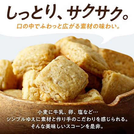 タマチャンショップ ちいさなスコーン屋さんの小さなスコーン プチスコ プレーン&有機ごま 各70g
