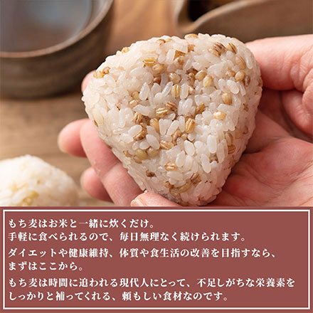 雑穀米本舗 国産 もち麦 1.8kg(450g×4袋)