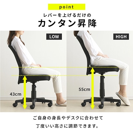アイリスオーヤマ メッシュバックチェア OFC-MB ブラック ※他色あり