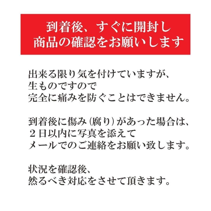 清見タンゴール オレンジ 訳あり 2kg