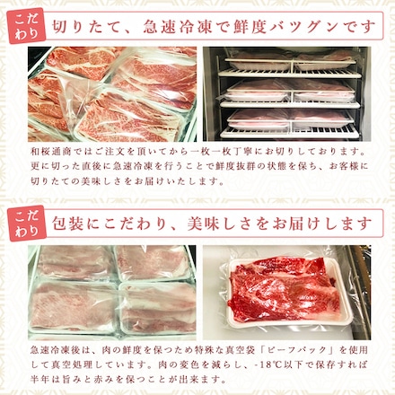 神戸牛 肩 ウデ 焼肉用 600g A4等級黒毛和牛 希少部位 トウガラシ入り