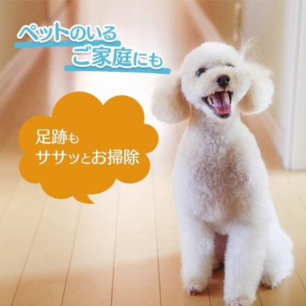 アイリスオーヤマ フラットモップ 専用モップ2個付き FLMO-130