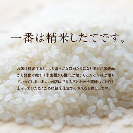 タマチャンショップ 都城ふるさと米 無洗米 まいひかり 300g (2合)