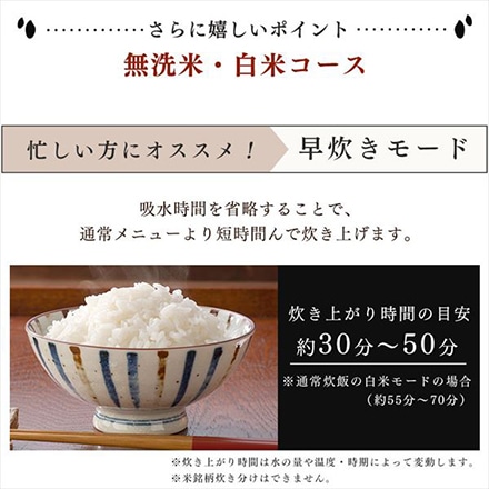 アイリスオーヤマ 分離式 量り炊き IHジャー 炊飯器 3合 ブラック RC-IM30-B