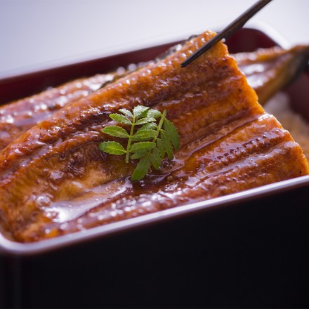 鰻楽 うなぎ蒲焼 8尾入
