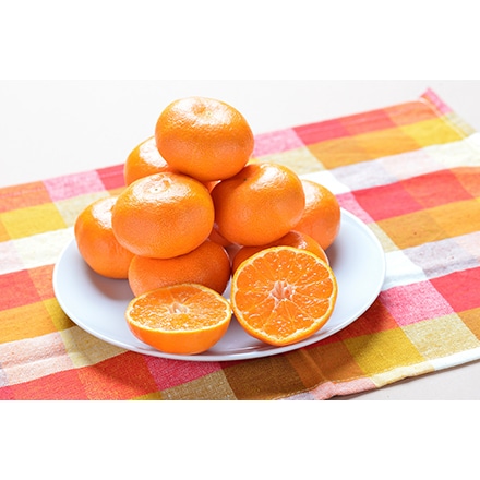 期間限定 佐賀 ハウスみかん 1.8kg【販売期間2022年5月20日~2022年7月27日】