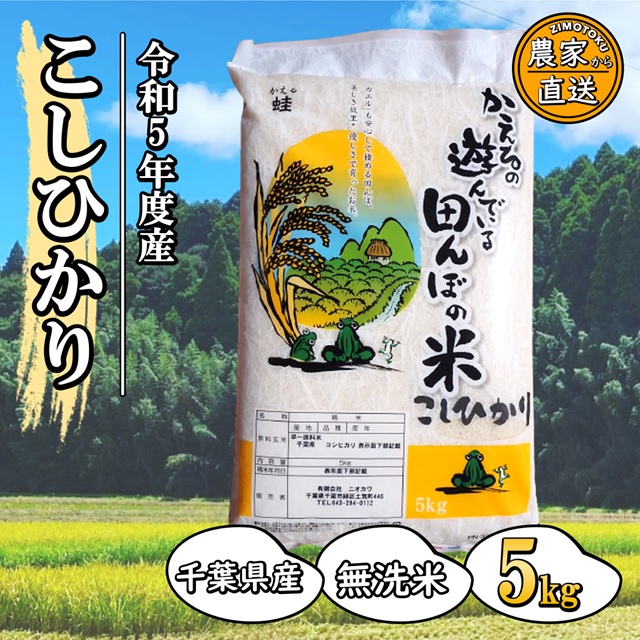 令和5年度産 千葉県産 コシヒカリ 5kg 無洗米