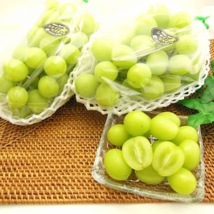 シャインマスカット 800g (2房) 出荷時期:~10月下旬