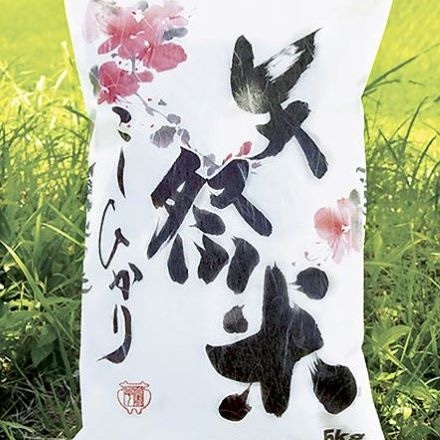 福島県産 コシヒカリ 矢祭米 10kg 令和3年産