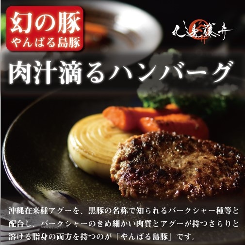 幻の豚 やんばる島豚 肉汁ハンバーグ150g×6個