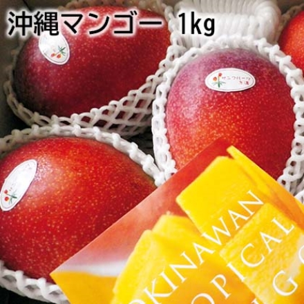 【こちらの商品は6月17日～8月1日の間にお届けします】 沖縄マンゴー 1kg ( 2～3個 )