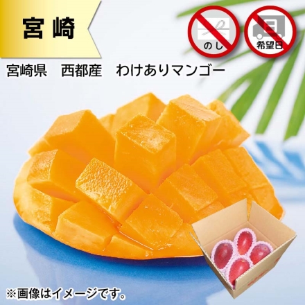 宮崎県 西都産 わけありマンゴー 1.2kg ( 2～4個 )