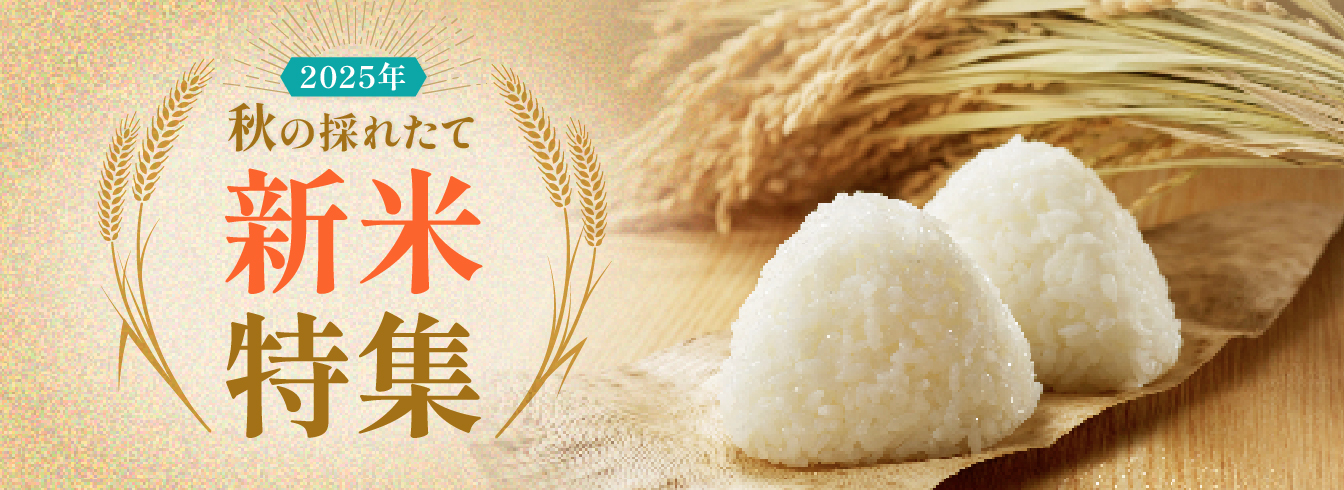 新米特集